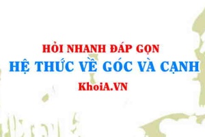 Hệ thức về góc và cạnh trong tam giác vuông Toán lớp 9 - Hỏi nhanh đáp gọn